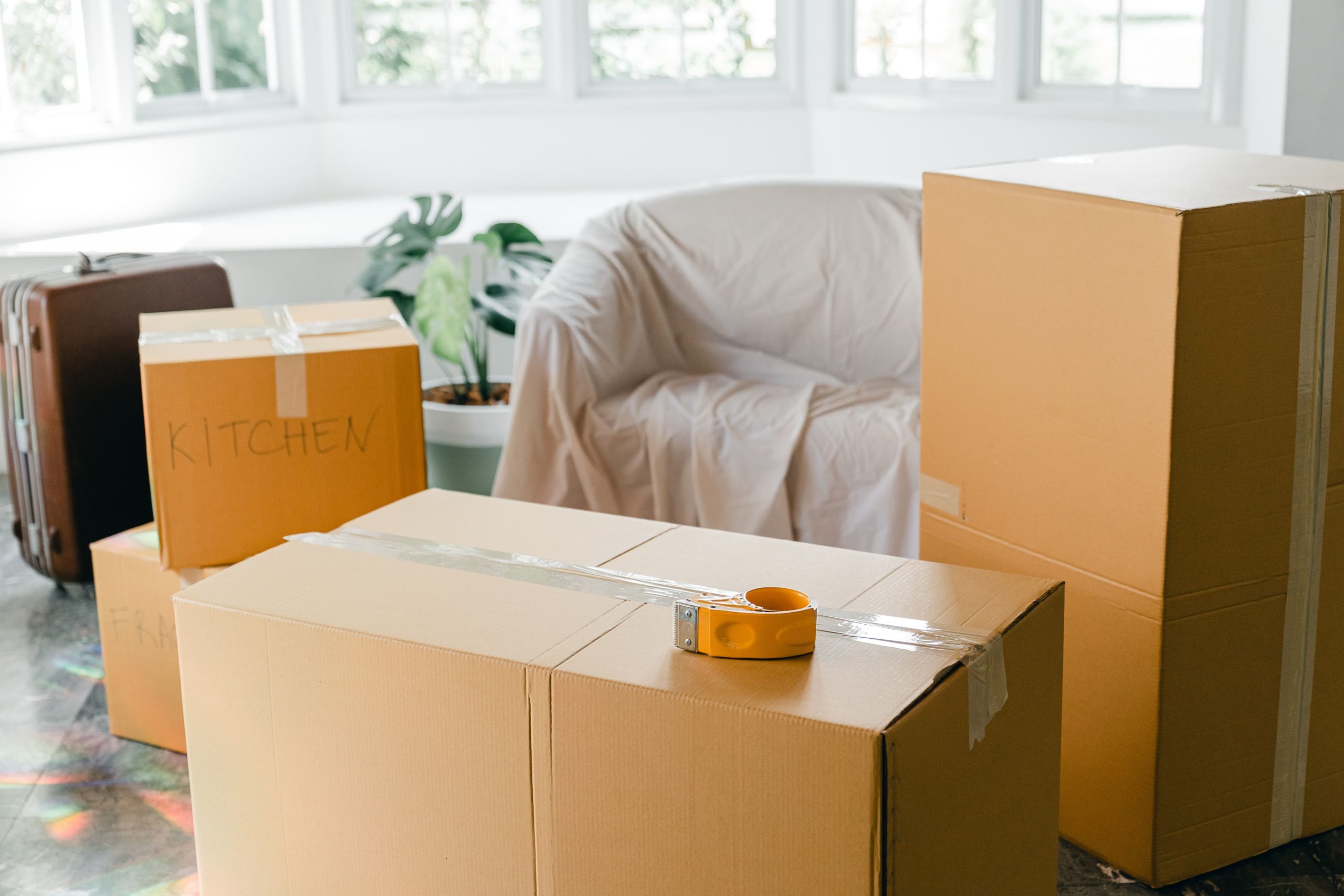 What to Expect from Best Movers in Dubai?